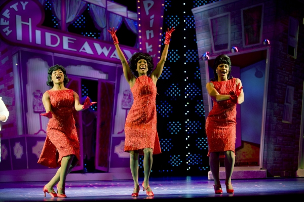 Photo Flash: HAIRSPRAY at Paper Mill Playhouse Image