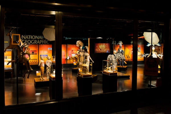 Photo Coverage: THE LION KING Exhibition At National Geographic  Image