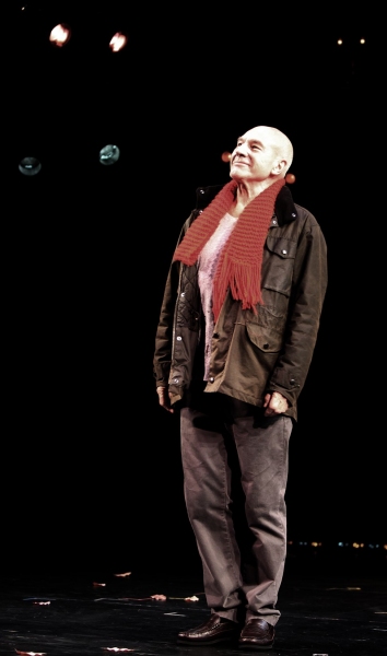 Photo Coverage: A LIFE IN THE THEATRE Opens on Broadway Image