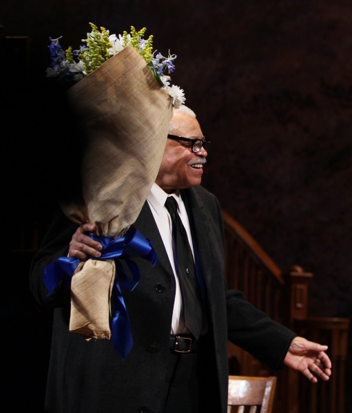 Photo Coverage: DRIVING MISS DAISY Opening Night Curtain Call Image