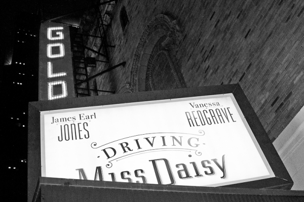 Photo Coverage: DAISY Red Carpet! Image