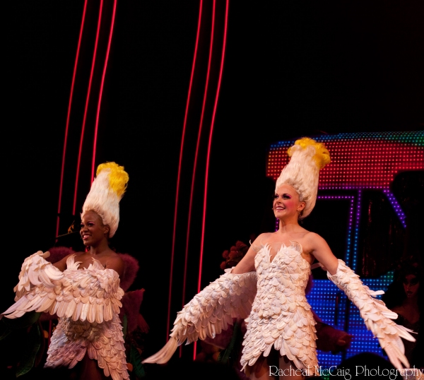 Photo Coverage: PRISCILLA, QUEEN OF THE DESERT Makes Her Toronto Debut! Image
