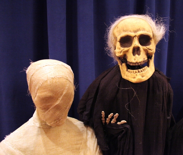 Photo Coverage: 15th Annual Hulaween Benefit Gala Image