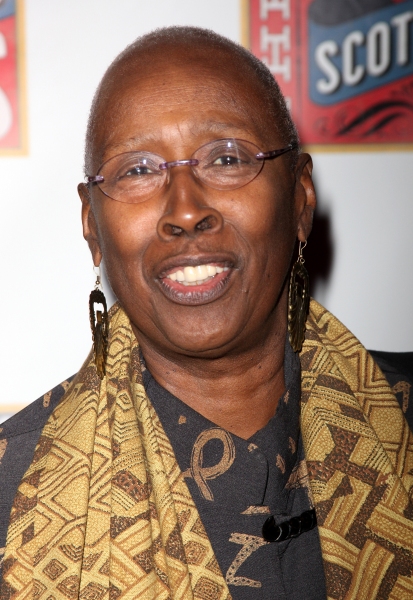 Photo Coverage: THE SCOTTSBORO BOYS Red Carpet Image