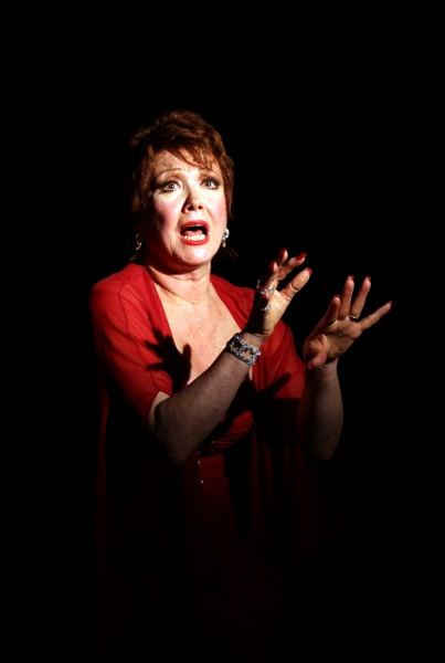 Photo Coverage: Donna McKechnie 'My Musical Comedy Life' Image