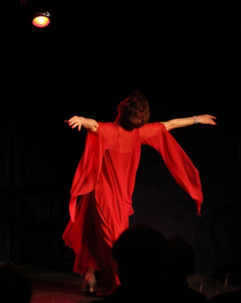 Photo Coverage: Donna McKechnie 'My Musical Comedy Life' Image
