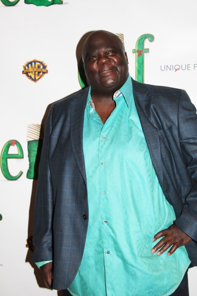 Photo Coverage: ELF Opening Night Party Image