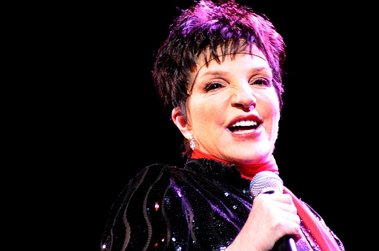 Photo Coverage: Liza Minnelli Returns to the Concert Stage! Image