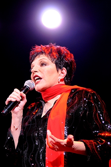 Photo Coverage: Liza Minnelli Returns to the Concert Stage! Image
