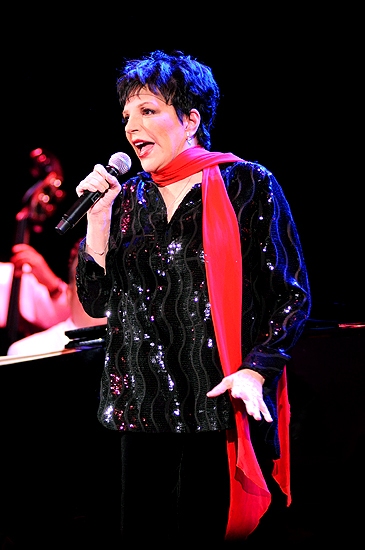 Photo Coverage: Liza Minnelli Returns to the Concert Stage! Image