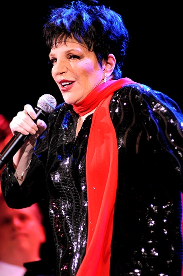 Photo Coverage: Liza Minnelli Returns to the Concert Stage! Image