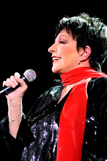 Photo Coverage: Liza Minnelli Returns to the Concert Stage! Image