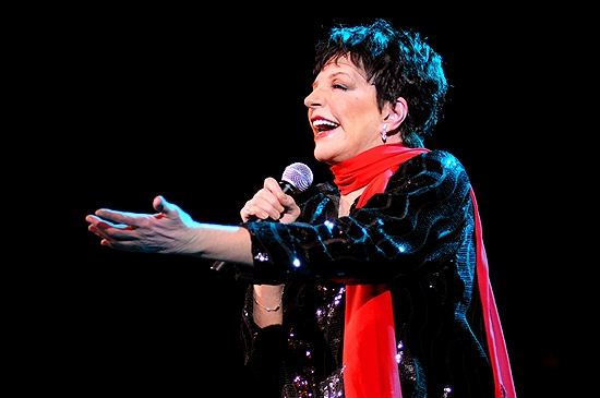 Photo Coverage: Liza Minnelli Returns to the Concert Stage! Image