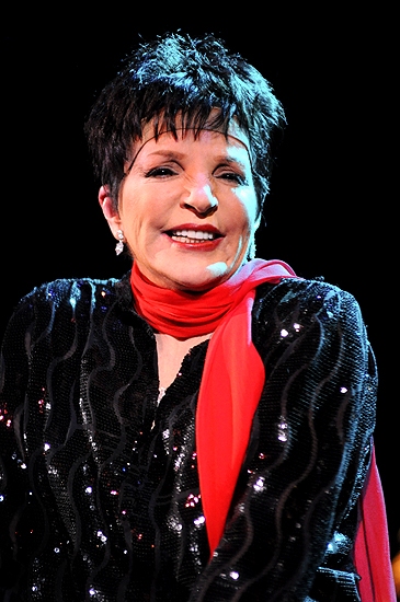 Photo Coverage: Liza Minnelli Returns to the Concert Stage! Image