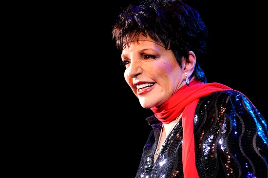Photo Coverage: Liza Minnelli Returns to the Concert Stage! Image