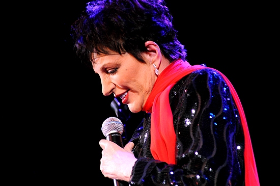 Photo Coverage: Liza Minnelli Returns to the Concert Stage! Image