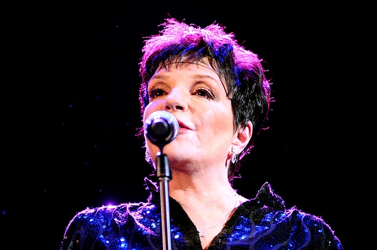 Photo Coverage: Liza Minnelli Returns to the Concert Stage! Image