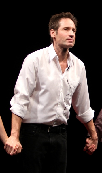 David Duchovny Photo