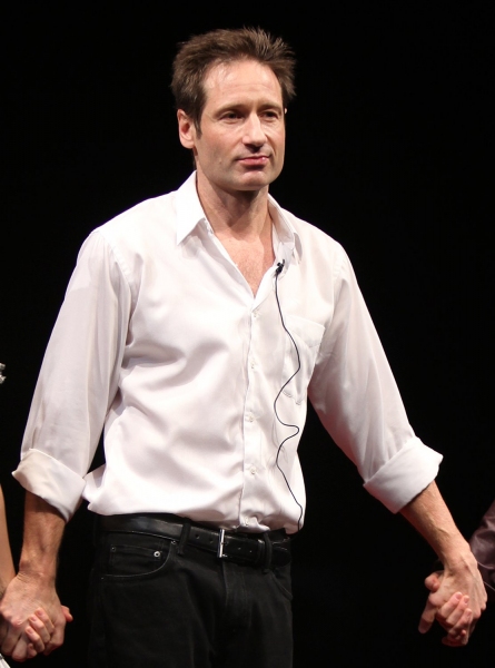 David Duchovny Photo