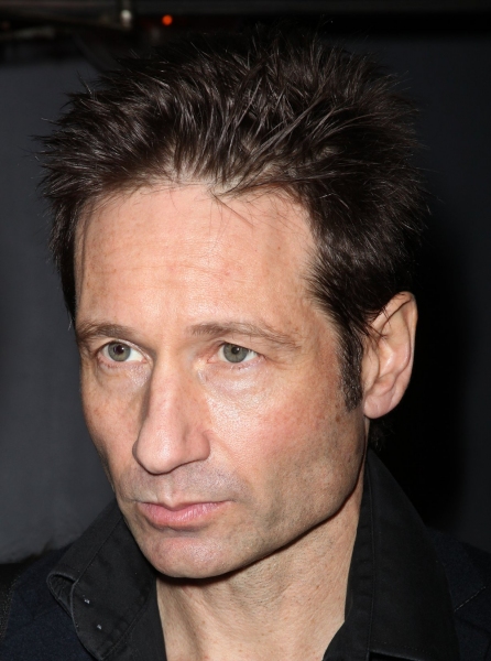 David Duchovny Photo