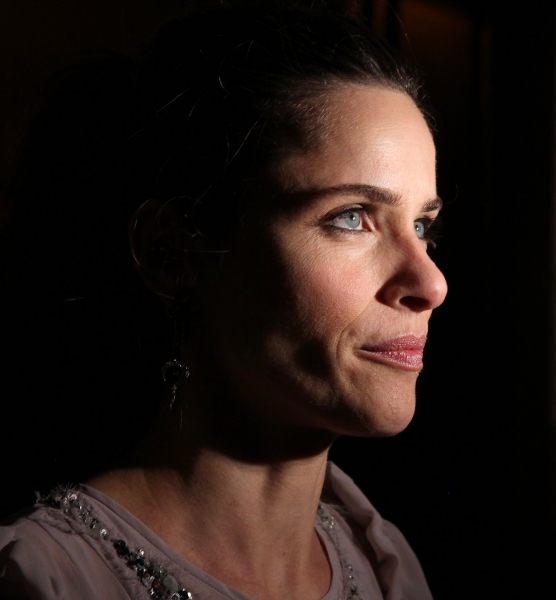 Amanda Peet Photo