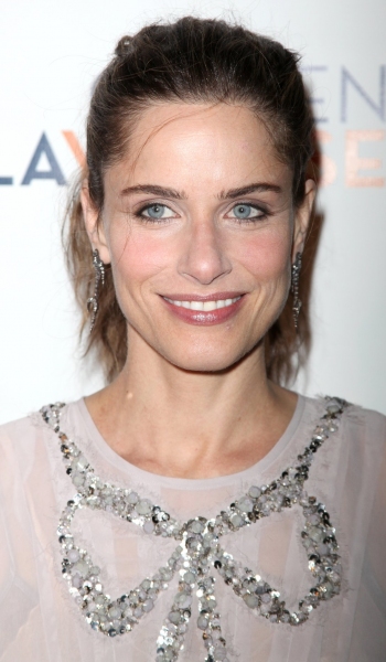 Amanda Peet Photo