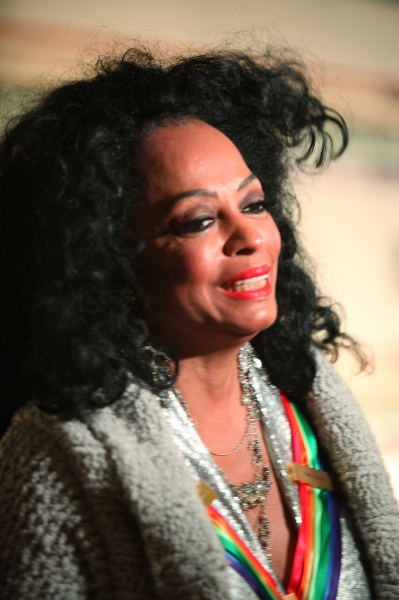 Photo Coverage: 2010 Kennedy Center Honors Red Carpet Part 1 Image