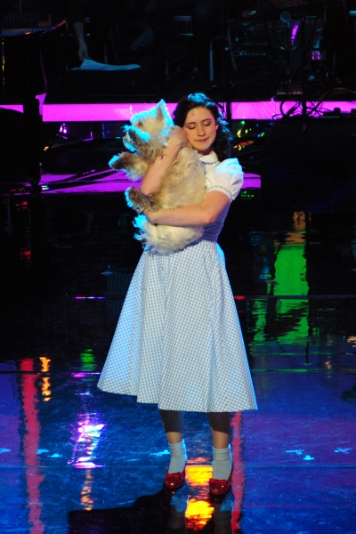 Danielle Hope as Dorothy - with her Toto Photo