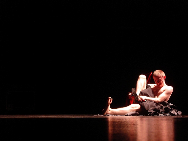 Photo Flash: Public Theater's UNDER THE RADAR 2011 Image