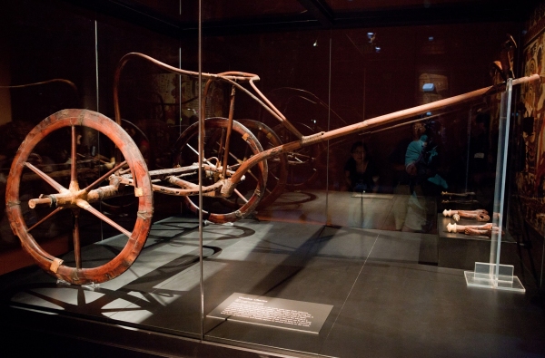 Photo Flash: King Tut Times Square Exhibition Image