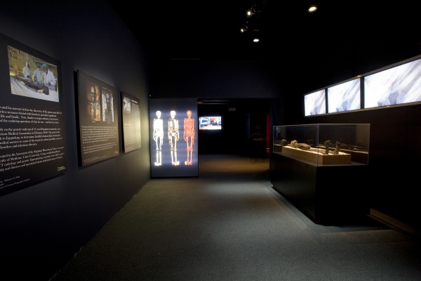 Photo Flash: King Tut Times Square Exhibition Image