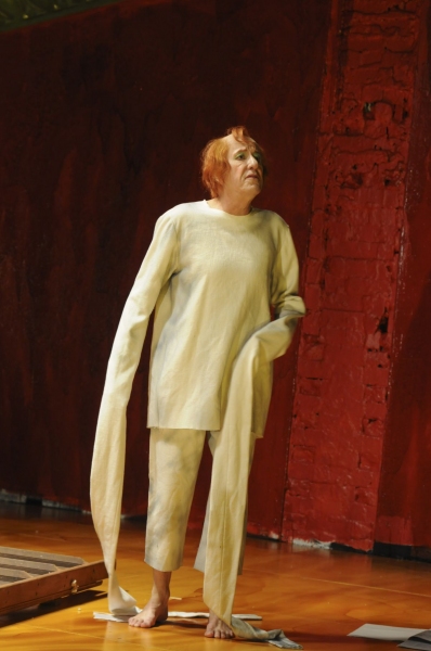 Photo Flash: Geoffrey Rush in BAM's DIARY OF A MADMAN Image