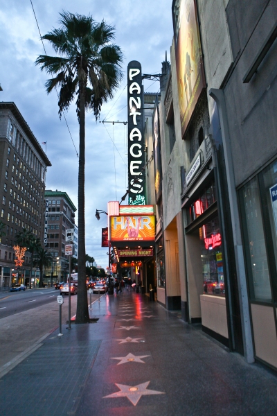 Photo Flash: Vereen, Ferguson & More Attend HAIR! Opening In LA Image