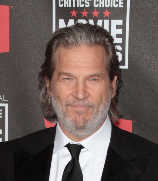 Photo Coverage: The 16th Annual Critics Choice Awards Image