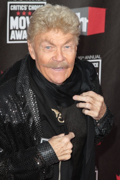 Photo Coverage: The 16th Annual Critics Choice Awards Image