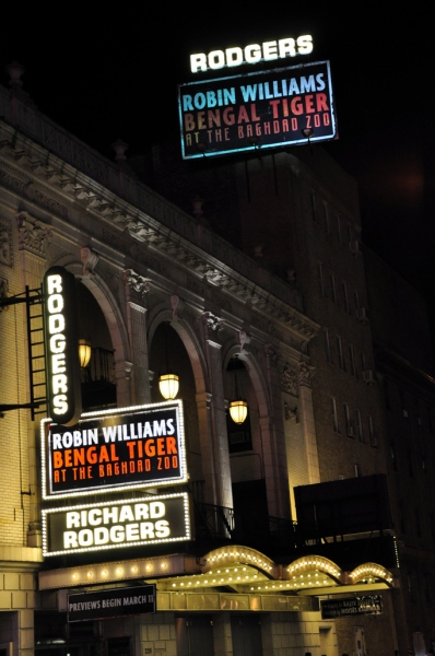 Photo Coverage: UP ON THE MARQUEE: BENGAL TIGER AT THE BAGHDAD ZOO Image