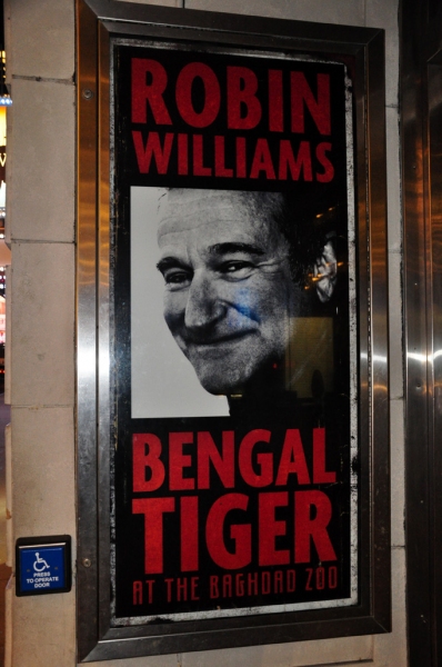 Photo Coverage: UP ON THE MARQUEE: BENGAL TIGER AT THE BAGHDAD ZOO Image