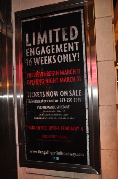 Photo Coverage: UP ON THE MARQUEE: BENGAL TIGER AT THE BAGHDAD ZOO Image