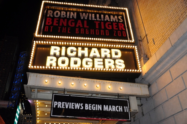 Photo Coverage: UP ON THE MARQUEE: BENGAL TIGER AT THE BAGHDAD ZOO Image