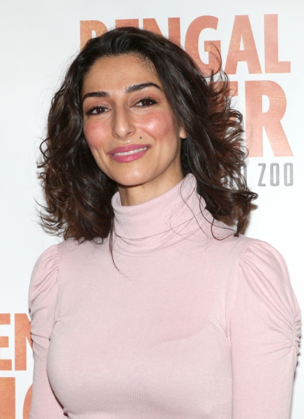 Photo Coverage: Robin Williams & BENGAL TIGER AT THE BAGHDAD ZOO Meet the Press! Image