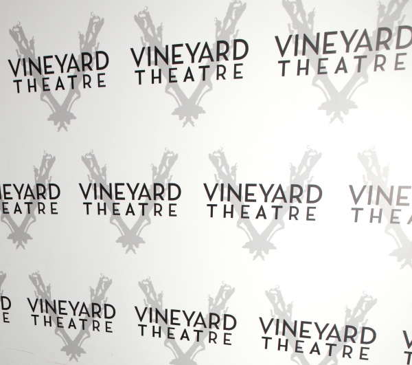 Photo Coverage: Broderick, Lane et al. Honor Susan Stroman with Vineyard Theatre - Arrivals Image