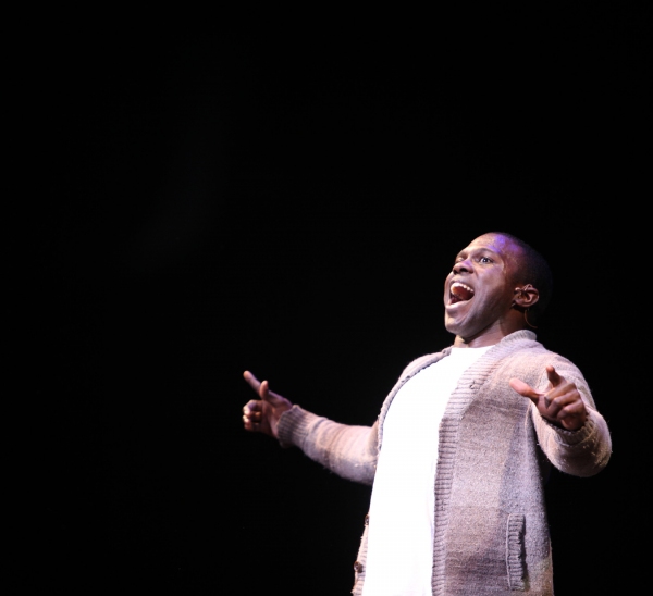 Photo Coverage: STRO! A Gala Celebration - Part Two Image