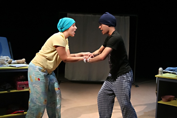 Photo Flash: Greyman Theatre Company Presents DANI GIRL Image