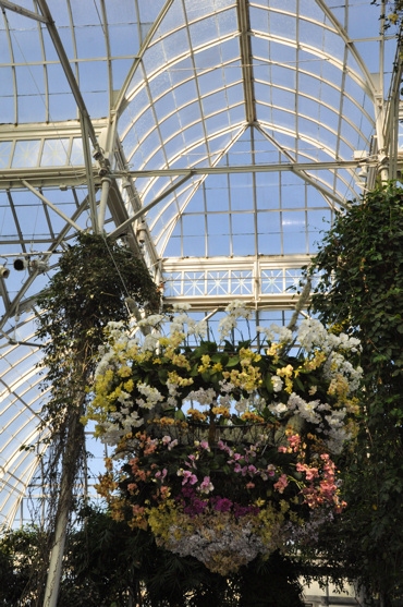 Photo Coverage: THE Orchid Show: On Broadway 