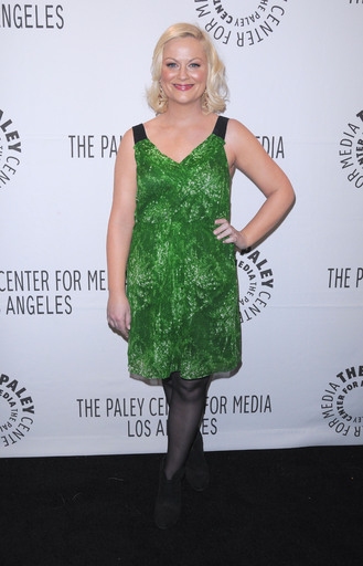 Amy Poehler Photo