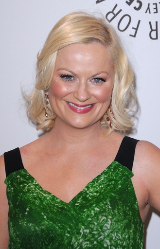 Amy Poehler Photo