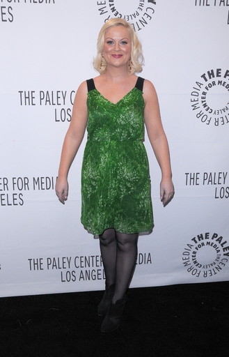 Photo Flash: 'Parks and Recreation' at PaleyFest 2011 