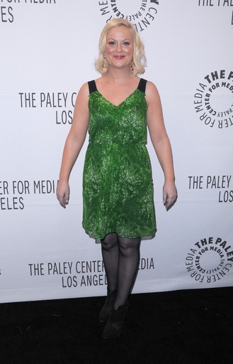 Amy Poehler Photo