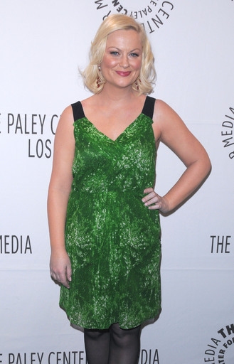 Photo Flash: 'Parks and Recreation' at PaleyFest 2011  Image