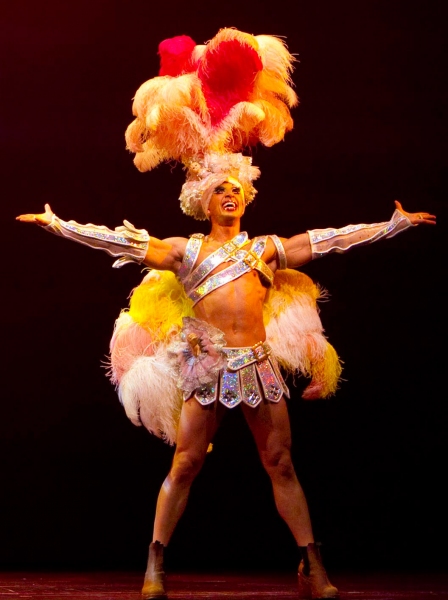 Photo Flash: Exclusive First Look at PRISCILLA QUEEN OF THE DESERT THE MUSICAL Image